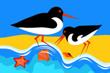 2OysterCatchers