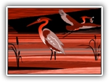 2 Red Herons