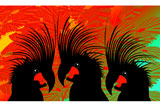 3PalmCockatoos4