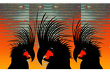 3PalmCockatoos8