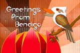 BendigoKookaburra
