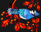 Blue Jay