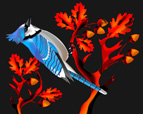 Blue Jay 2