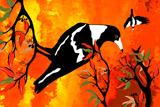 BushFire Magpies