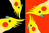 Cockatiels