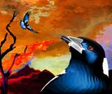Fire Haze Magpies