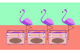 FlamingosAndRadios7