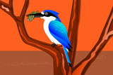 ForestKingFisher