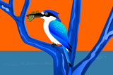 ForestKingFisher2