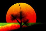 GrassTreeSunrise