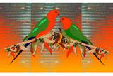 KingParrots