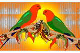 KingParrots2