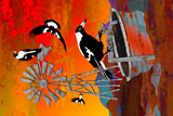Land Of Drought Magpies