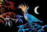 Opal Moon Cockatoo