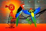 OutBackRosellas2