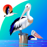 Pelican Black Post 2.