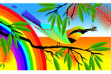 RainbowBeeEater3