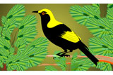 RegentBowerBird