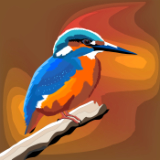 River KingFisher 4.