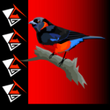 Scarlet Bellied Mountain Tanager.