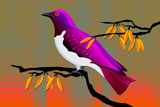 VioletBackedStarling2