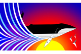 Whale11
